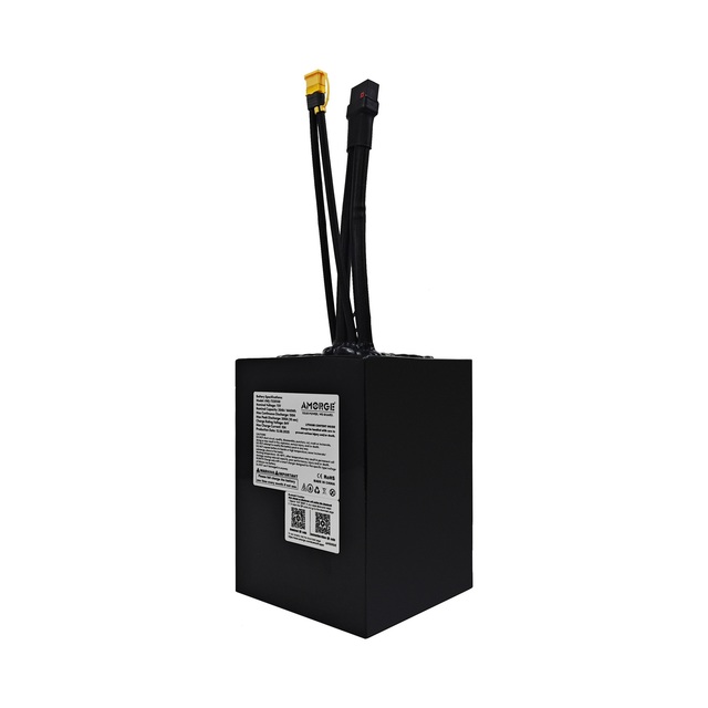 AMORGE 20S5P 72V 20AH 150A Lithium Battery Pack with ANT BMS for Electric Bike