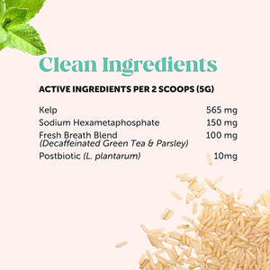 Pó Purin para Cuidado Dental e Hálito Fresco para Cães, com Ervas Naturais e Probióticos para Saúde Digestiva Energizante - Product Image 4