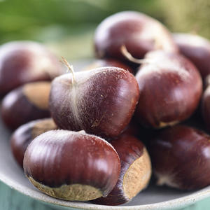 Châtaignes fraîches saines <span class=keywords><strong>au</strong></span> <span class=keywords><strong>prix</strong></span> de gros Châtaigne douce crue disponible maintenant en stock livraison rapide - Product Image 4