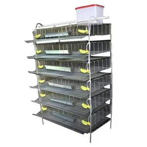 Jaula Elevada Tridimensional para Codornices y Perdices con Sistema Automático <span class=keywords><strong>de</strong></span> Alimentación, Bebederos y Limpieza <span class=keywords><strong>de</strong></span> Excrementos - Product Image 2