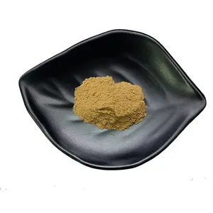 Fornecimento a granel de suplementos de ácido ursólico cápsulas de extrato de ácido ursólico cápsulas de ácido ursólico 90%