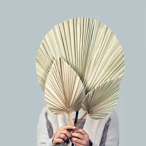 Oferta Especial: Hojas de <span class=keywords><strong>Palma</strong></span> Secas de Gran Tamaño, Decoración con <span class=keywords><strong>Flores</strong></span> Secas, <span class=keywords><strong>Flores</strong></span> para Bodas - Product Image 4