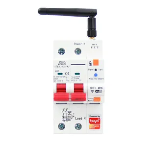 TUYA 2P WIFI Smart Energy Meter Kwh Metering Monitoring Circuit Breaker Timer Relay with Leakage Protection 63A