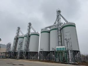 Silo de stockage vertical en acier galvanisé pour l'élevage avicole et l'agriculture à grande échelle (maïs, sésame, arachides, riz) - Product Image 1