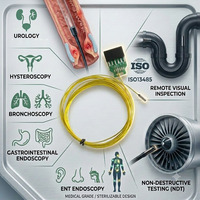 Module de caméra endoscopique médicale miniature OVM6946 400*400, étanche IP68, capteur CMOS, USB 2.0, autofocus, champ de vision 120°, ISO13485, OEM ODM