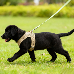 YG-898 Rompi <span class=keywords><strong>Harness</strong></span> Hewan Peliharaan Bergaya Kartun dengan Bantalan Empuk dan Kain Nilon Spons Waffle 4mm 360g - Product Image 2