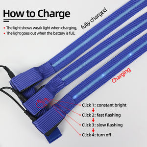 Material <span class=keywords><strong>de</strong></span> correas personalizado, <span class=keywords><strong>cola</strong></span> <span class=keywords><strong>de</strong></span> <span class=keywords><strong>caballo</strong></span> con luz recargable con tira <span class=keywords><strong>de</strong></span> luz, <span class=keywords><strong>cola</strong></span> <span class=keywords><strong>de</strong></span> <span class=keywords><strong>caballo</strong></span> LED intermitente brillante <span class=keywords><strong>de</strong></span> noche - Product Image 3