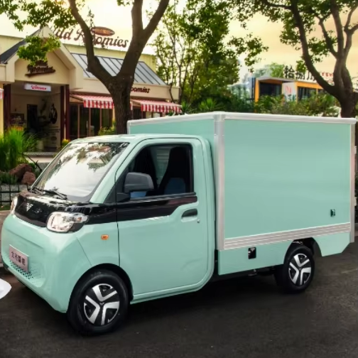 2025 Mini Express Transportation Electric Light Truck with Front 2 Seats Cargo Pickup Vehicles EEC COC