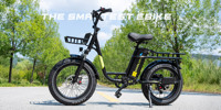 Vélo cargo électrique haute vitesse 250W en acier, batterie lithium EU 48V25Ah, affichage numérique, longue autonomie 120km, porte-bagages, 7 vitesses, double