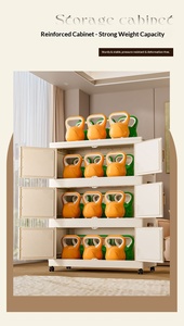 Organisateur de rangement magnétique en plastique avec porte, design pliable pour l'organisation de la maison, de la salle de bain, de la chambre à coucher, de la <span class=keywords><strong>cuisine</strong></span> et du comptoir - Product Image 6