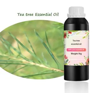 Label pribadi minyak esensial pohon teh alami organik High-end OEM ODM untuk Diffuser produk kecantikan minyak wangi bahan kimia