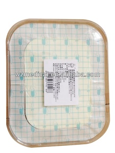 Instruments orthopédiques Attelle thoracique pour orthopédie - Product Image 6