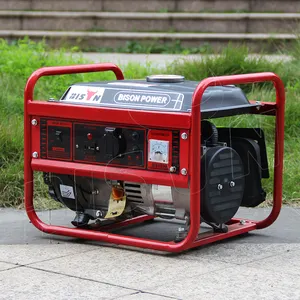 BISON 850 watts 850 w 220v 50hz/60hz mini générateur d'électricité à gaz