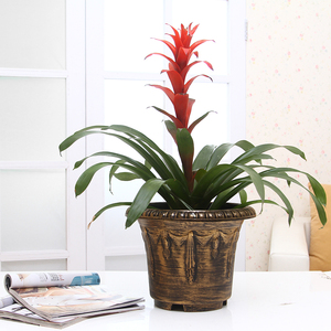 Huazhiai pittura in bronzo eco-friendly <span class=keywords><strong>vasi</strong></span> da <span class=keywords><strong>fiori</strong></span> rotondi e fioriere decorazione vaso <span class=keywords><strong>di</strong></span> plastica - Product Image 5