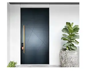 간단하고 아름다운 보스 사무실 문 현대 장식 외부 문 현대 전면 입구 문
