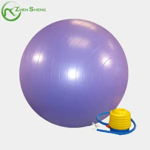 Zhensheng Custom Logo Anti-burst Durable Ecofriendly Extra Thick Swiss Yoga Ball