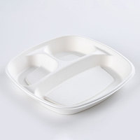 Boîte à lunch en papier biodégradable jetable de canne à sucre de 9*9 pouces avec insert en bambou maintenant disponible sur le marché des EAU