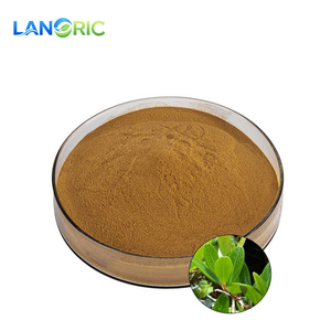 高品質天然食品グレードビルベリー葉エキス粉末、ハックルベリー葉エキス粉末 - Product Image 2