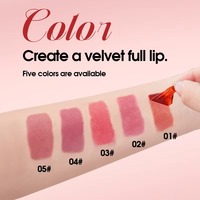 Vente en gros – Nouveau design – Cosmétiques pour les lèvres en vrac – Gloss repulpant longue tenue – Gloss à lèvres détachable personnalisable – Marque privée