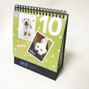 Custom Beauty Tafel Desktop Kalender Afdrukken 2020 Kalender Oem Ontwerp 13 Vellen Of 7 Lakens Maandelijkse Kalender