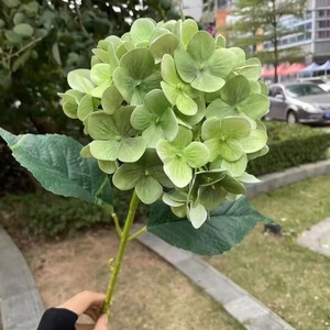 Hortensias Verde Oscuro M162, Flores Artificiales para Boda, Venta al por Mayor, Decoración de Seda Plástica Suave, Arreglos para Fiestas - Product Image 5