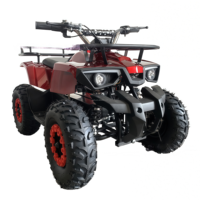 Quad à essence 49cc 2 temps de haute qualité, ATV à quatre roues, ATVS avec CE pour enfants en vente chaude