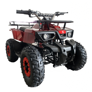 Cuatrimoto ATV de Alta Calidad de 49cc y 2 Tiempos a Gasolina con CE para Niños en Oferta - Product Image 3