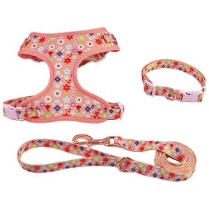 Производитель, персонализированный поводок для собак, поводок для собак с неопреновым принтом, с индивидуальным логотипом и узором - Product Image 3