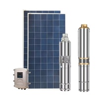 Pompe à eau submersible automatique à haute pression en acier inoxydable 48V 750W 1,5HP pour l'irrigation solaire des fermes et des puits profonds
