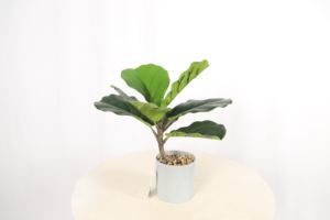 Venta directa de fábrica Plantas de mesa Artificial Pequeñas plantas de bonsái Árbol para la decoración de la Mesa del hogar de la Oficina - Product Image 3