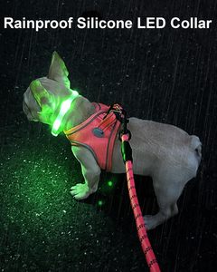 Rubans multicolores LED USB rechargeables à motif solide Rinproof Plastic Dog Night Walking Flashing Light Glow Collar - Product Image 4
