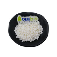 Monostearato de Glicerol de Alta Calidad GMS 99% Monostearato de Glicerilo