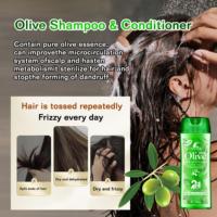 Shampoo réparateur hydratant 2 en 1 ROUSHUN Olive