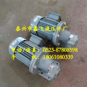 Pompe à huile 20A S-16A, unité d'engrenage 32A S-25A YE3 80M2-4 0.75KW, pompes hydrauliques - Product Image 1