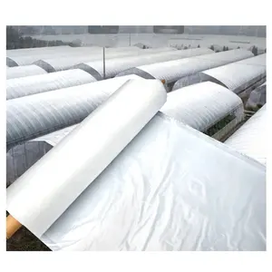 Film Agricultural 100mic 120mic 150mic 180mic 200mic Greenhouse Plastic Sheet Agricultural Film