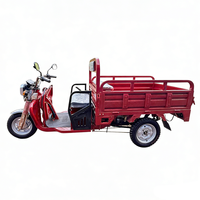 Kit de moto électrique à trois roues robuste personnalisé 60V 1000W 1500W pour adultes sans permis, pour le transport de marchandises et le camping