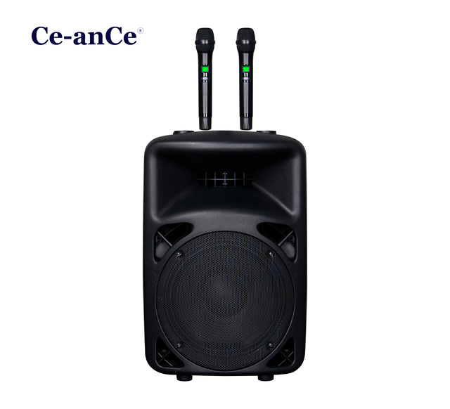 12 Inch 500W Peak Portable Trolley Bluetooth Karaoke Speaker,Suitable for Outdoor Activities, Party, Speech, Karaoke