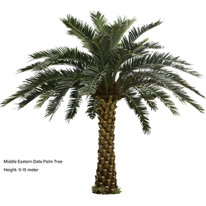 <span class=keywords><strong>Palmera</strong></span> Artificial de Alta Calidad con Hojas Realistas, Árbol Artificial para Restaurante, Hotel, Cafetería y <span class=keywords><strong>Bar</strong></span> - Product Image 6
