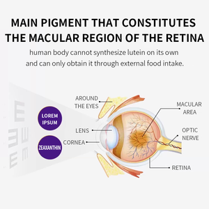 ブルーベリー ルテイン チュアブル タブレット 抗酸化作用 視力ケア ヘルスケア サプリメント 60 錠/ボトル - Product Image 3