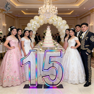 ป้ายไฟนีออน LED แบบกำหนดเองสำหรับงานอีเว้นท์ ตัวเลขขนาดใหญ่ ป้ายไฟนีออนแบบมาร์กี โครงโลหะ ตัวอักษรเรืองแสง สำหรับงานวันเกิด - Product Image 1