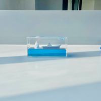 Nouveauté Cadeaux Insubmersible Bateau Modèle Jouets Le One Piece Navire Acrylique Liquide Dérive Bouteille Papier Poids