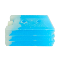 Brique de glace en gel réutilisable Baolun 2024, taille personnalisable, logo couleur