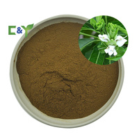 Poudre de noix de Malabar de haute qualité, noix de Malabar, extrait de noix de Malabar
