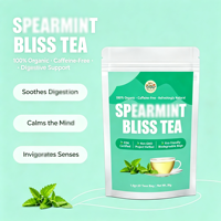 Thé à la menthe verte OEM Spearmint Bliss, feuilles de menthe verte, apaise la digestion, calme l'esprit, soutient la santé intestinale, riche en vitamines A et C pour une fraîcheur quotidienne