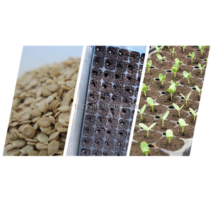 Seminatrice per Mais e Cipolle, Macchina per Semina con Piastra - Product Image 5