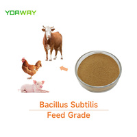 Poudre de probiotiques Bacillus Subtilis pour l'alimentation des volailles et du bétail 100 150 200 milliards d'UFC Qualité alimentaire Amélioration de la santé intestinale