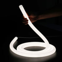 Ruban LED néon rond 360 degrés RGB RGBW RGB adressable WS2811 WS2815 DC12V DC24V 110V 220V 20mm 40mm