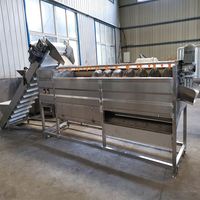 Bevroren Fruit En Groente Iqf Productielijn Vruchtensap Verwerkingslijn Knoflook Schoon Machine