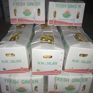 Китай, Шаньдун, свежий имбирь, горячая Распродажа, экспорт, Канада - Product Image 6