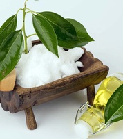 best supplier for best quality brown camphor oil essential oil
